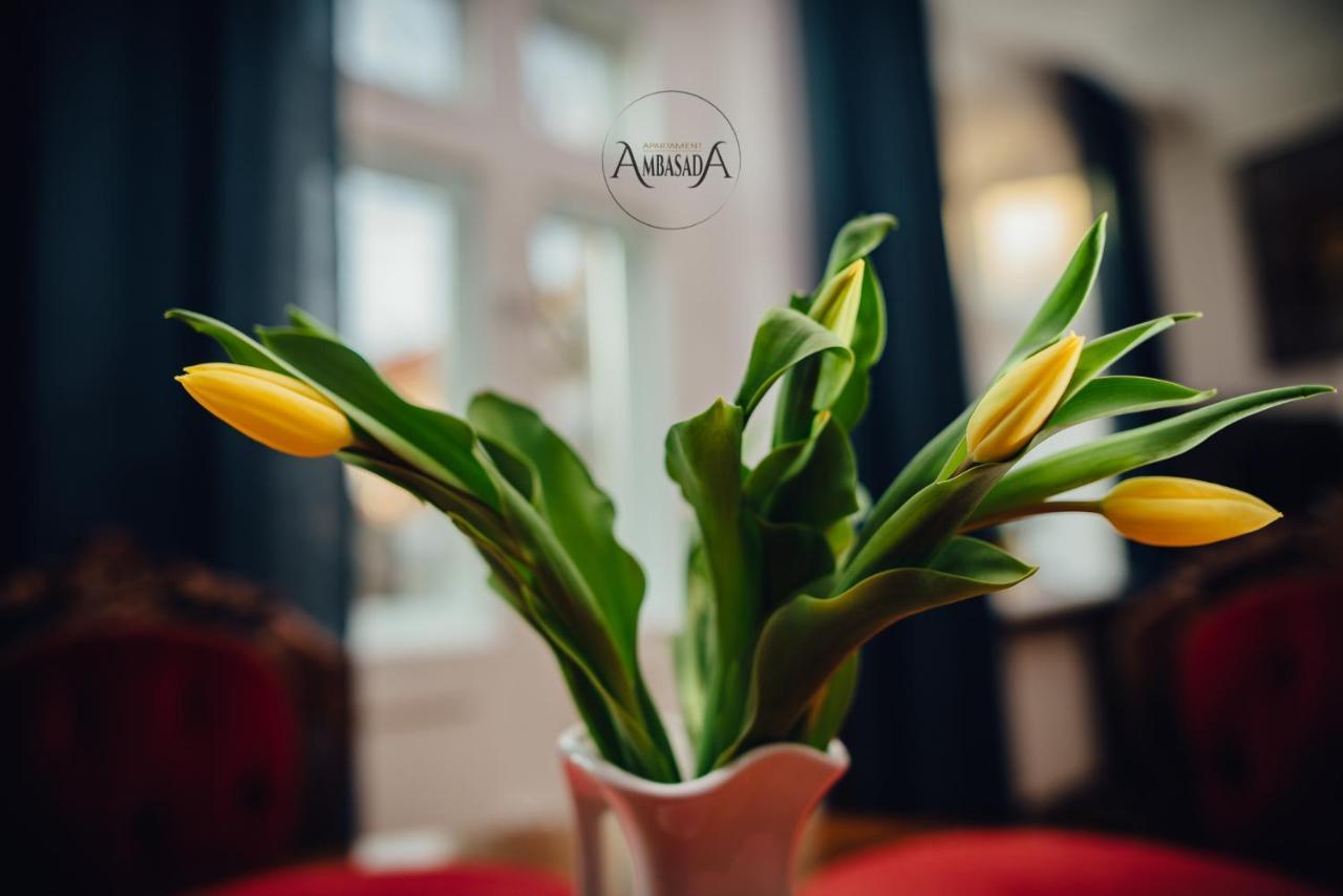 Apartament Ambasada Zamosc  Bagian luar foto